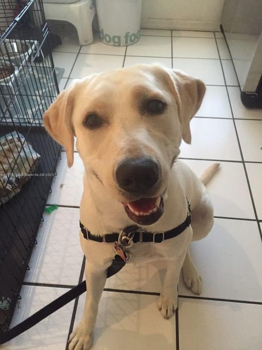 最近售出: $540,550 (0 贝兹, 0 浴室, 0 平方英尺)