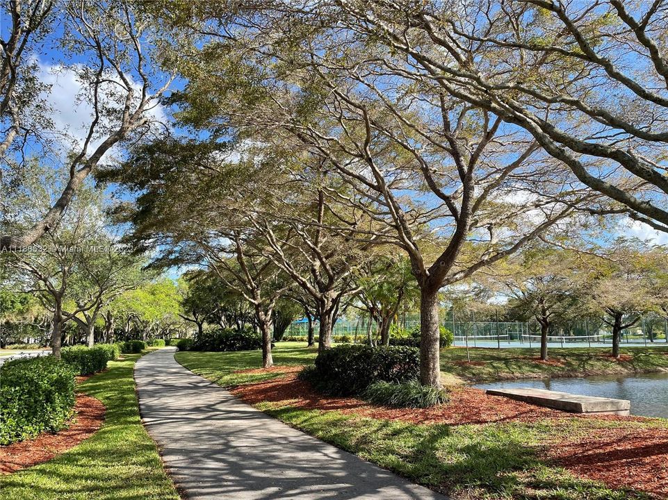 Community Walking Paths