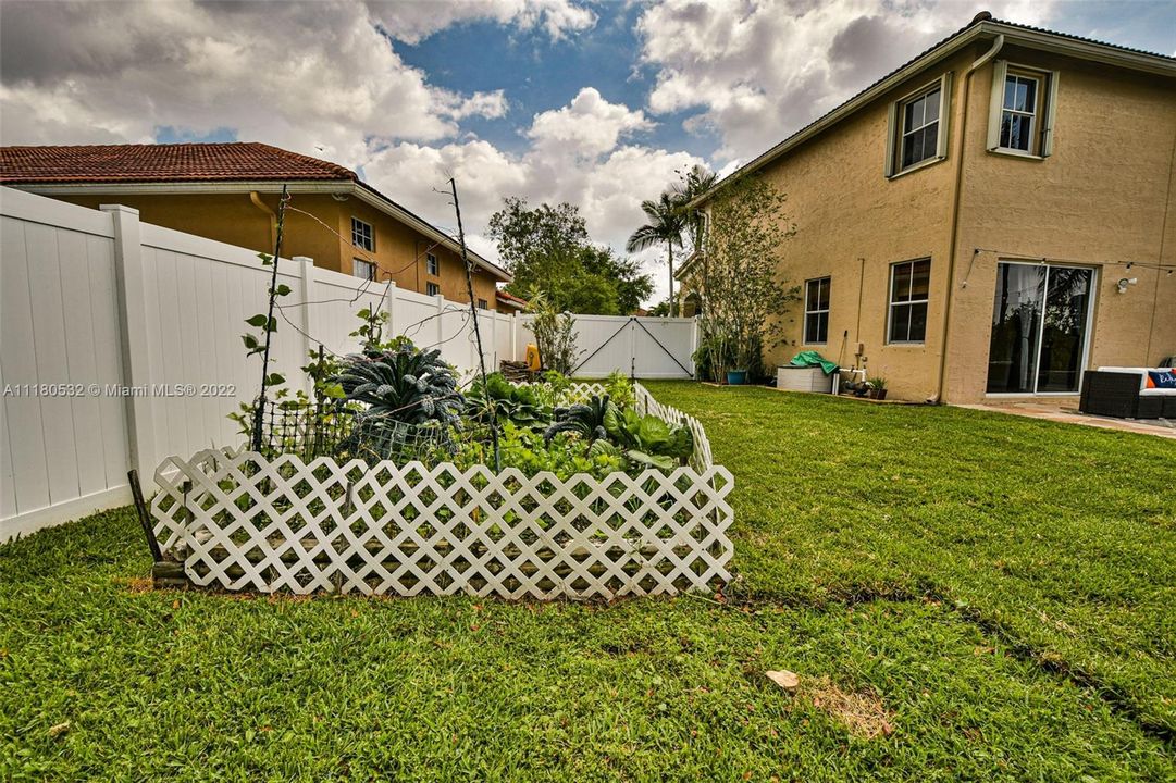 Delicious Garden Vegetables & Herbs