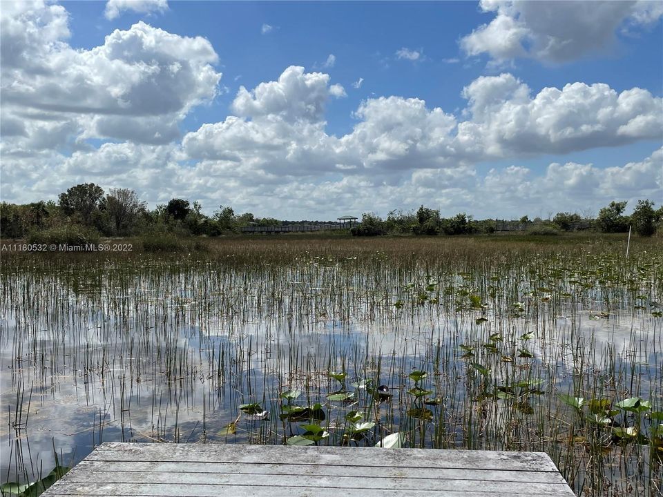 Stunning Florida Wetlands @ Preserve