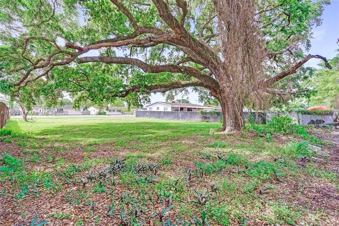 Недавно продано: $185,000 (0.25 acres)