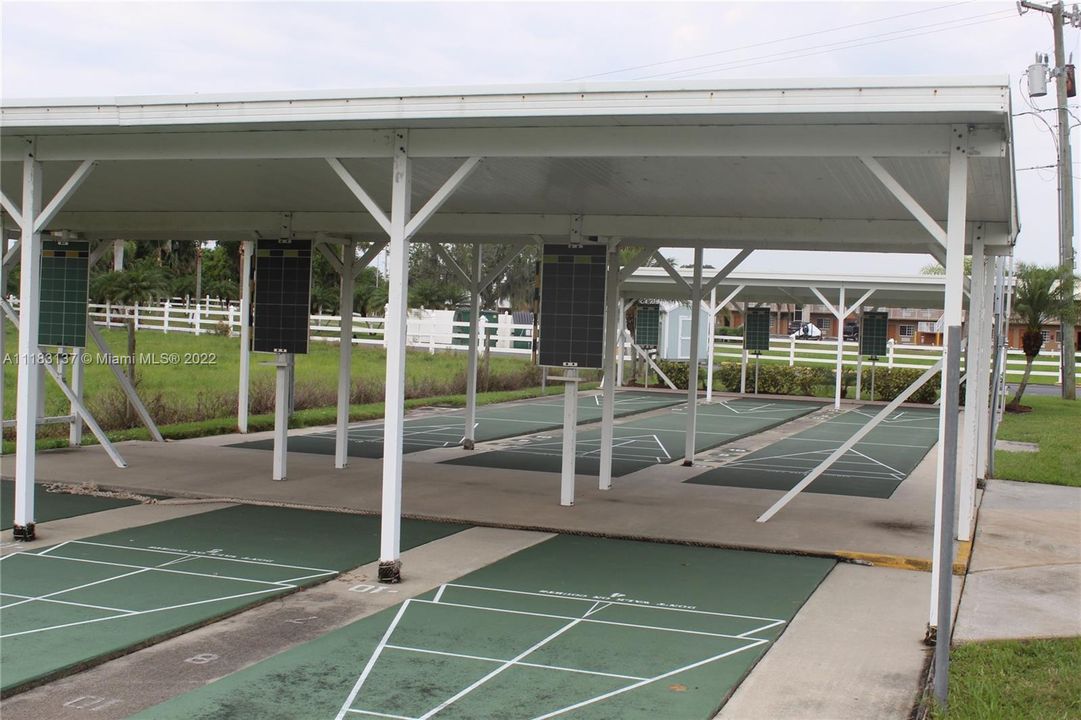 Shuffleboard Court