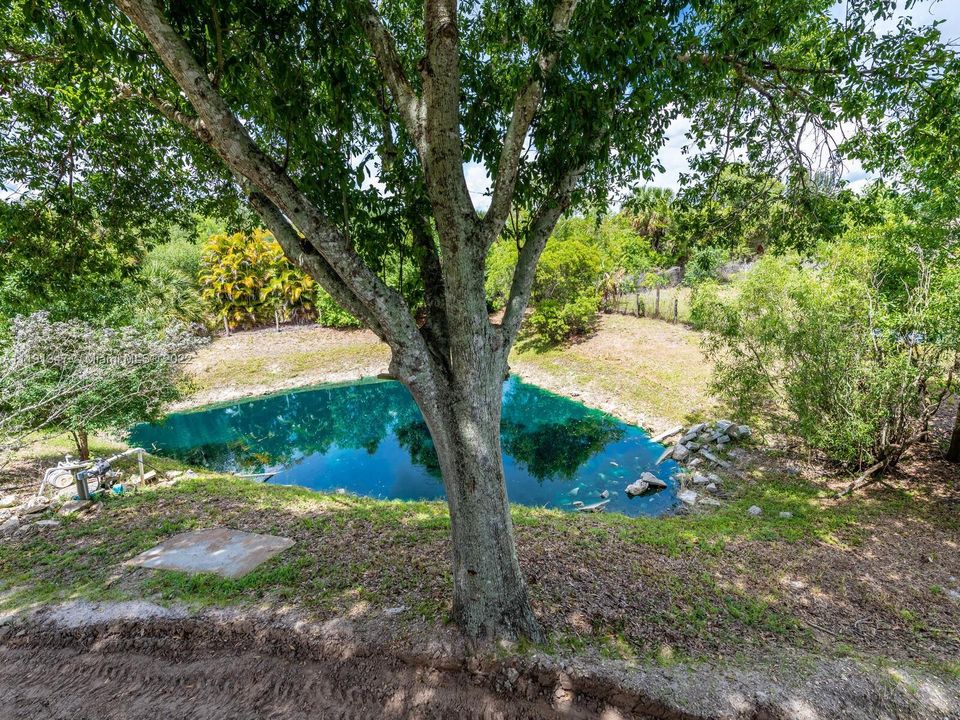 Недавно продано: $738,989 (4 спален, 2 ванн, 3067 Квадратных фут)