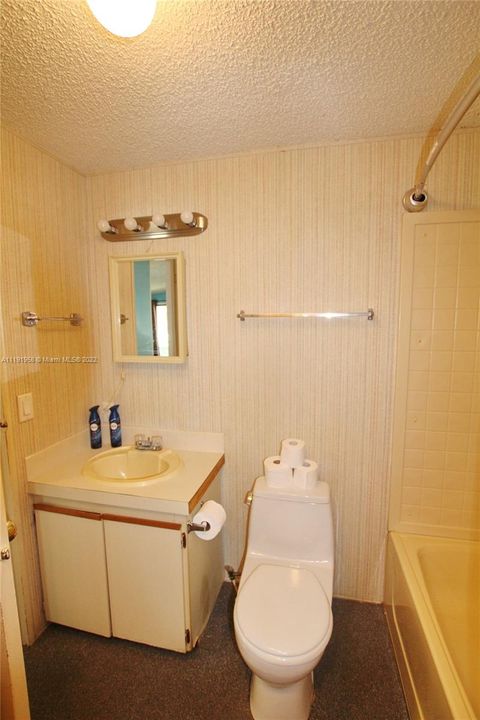 Main Bathroom