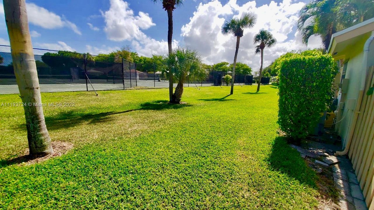 Back view of tennis courts