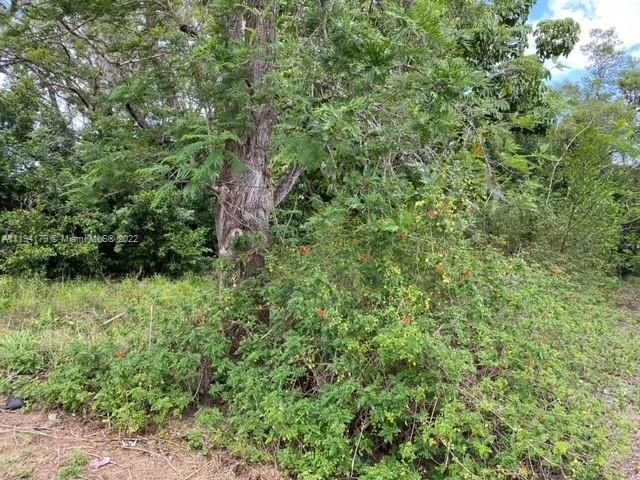 Recently Sold: $15,000 (0.14 acres)