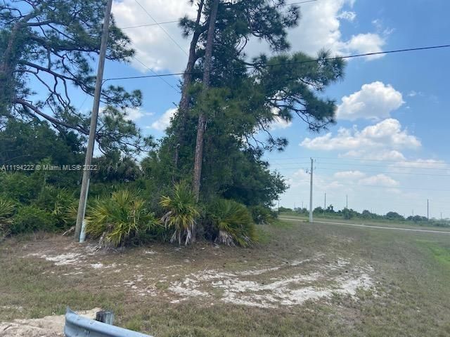 待售: $35,000 (0.25 acres)