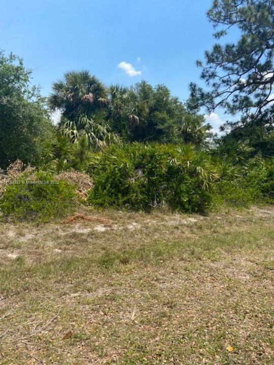 待售: $35,000 (0.25 acres)