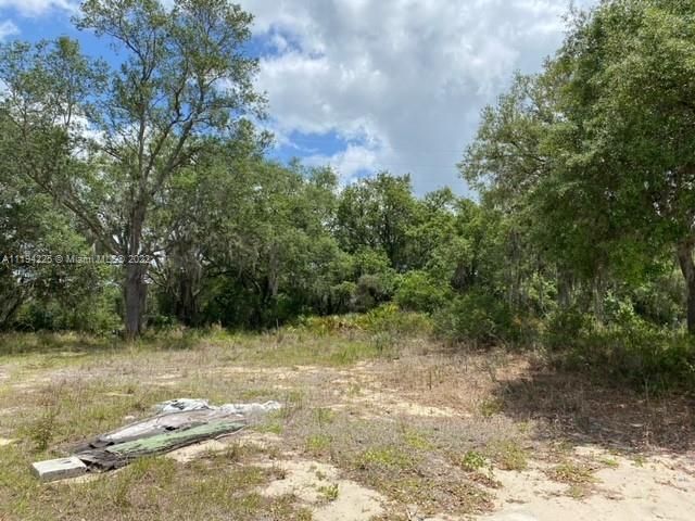 Recently Sold: $10,000 (0.31 acres)