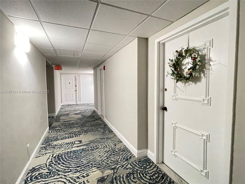 PH#8 Door & Hallway