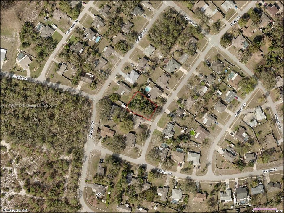 Aerial 3