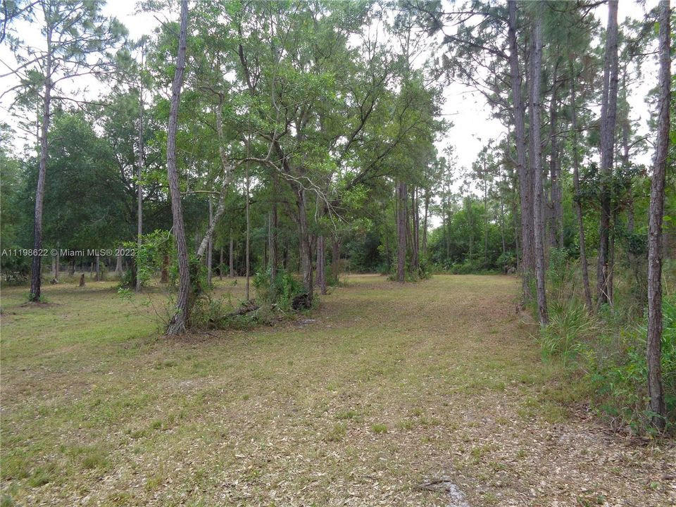 Back Pasture Area