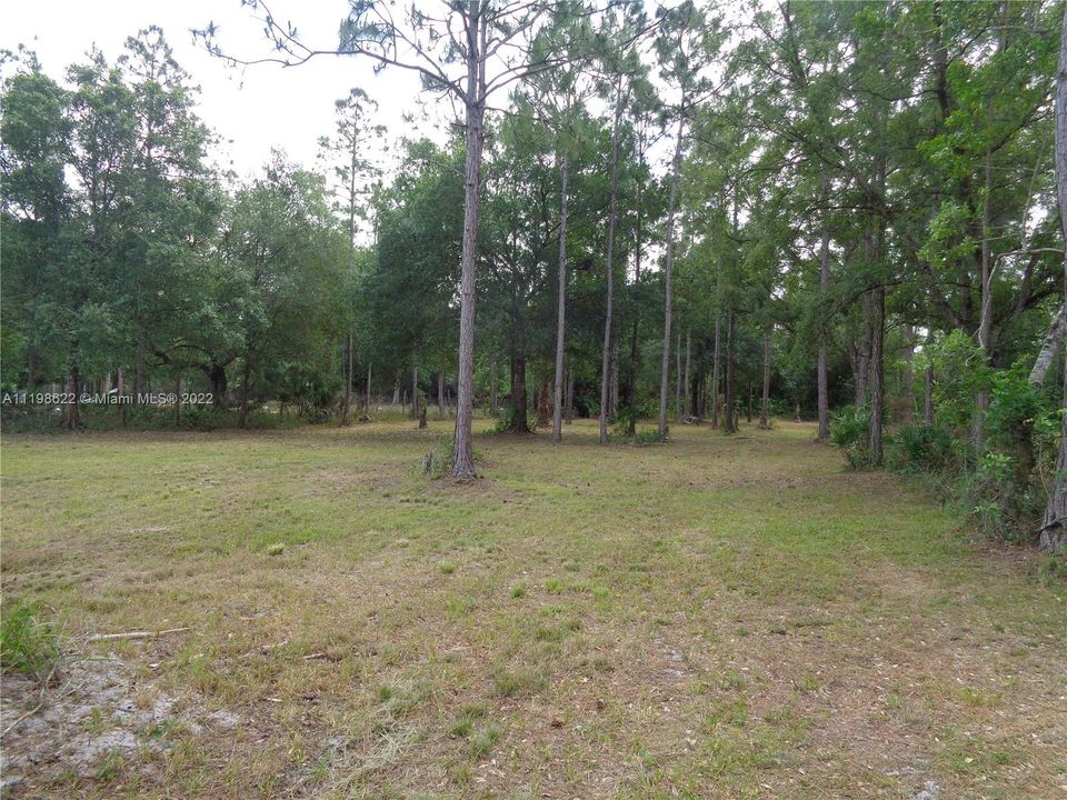 Back Pasture Area