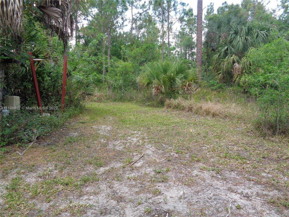 Path Through Natural Area