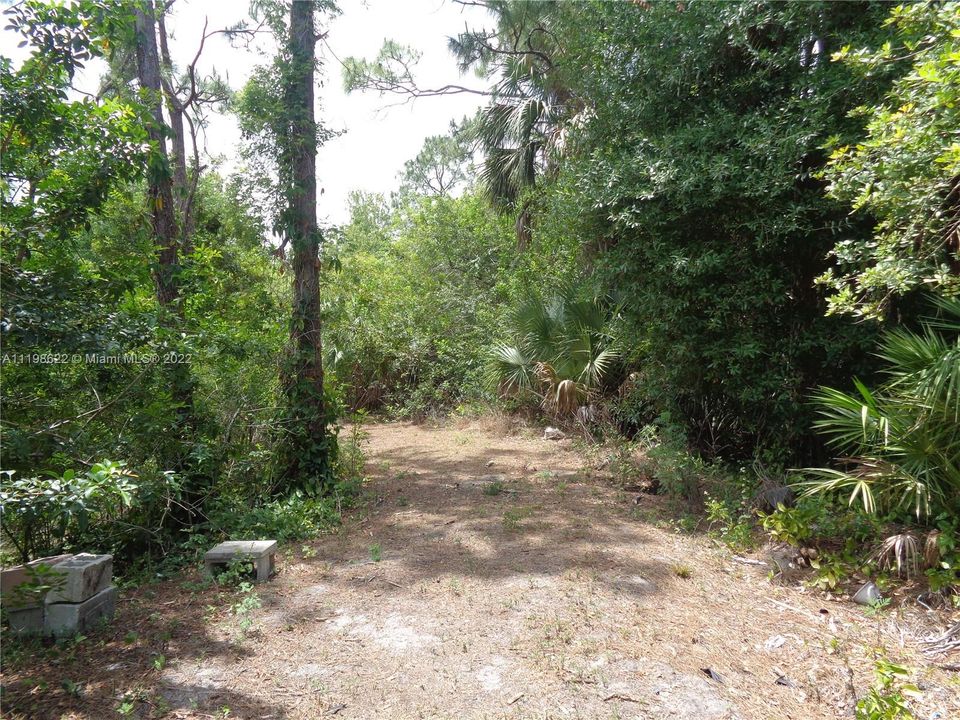 Wooded Path