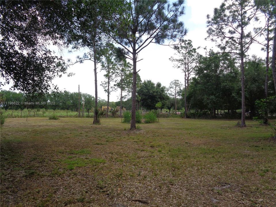 Back Pasture Area