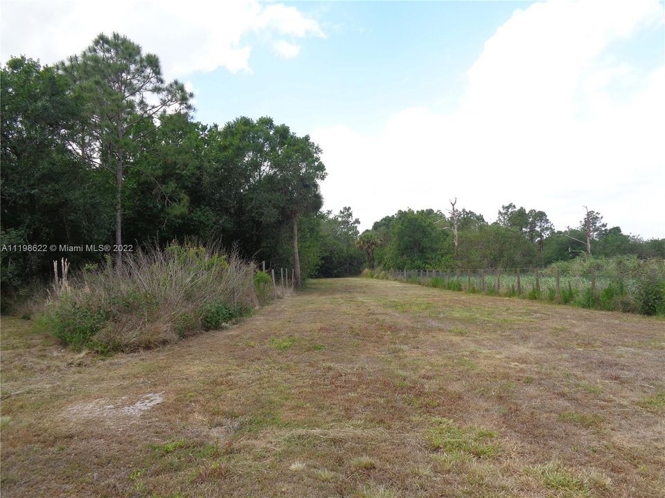 Back Pasture Area