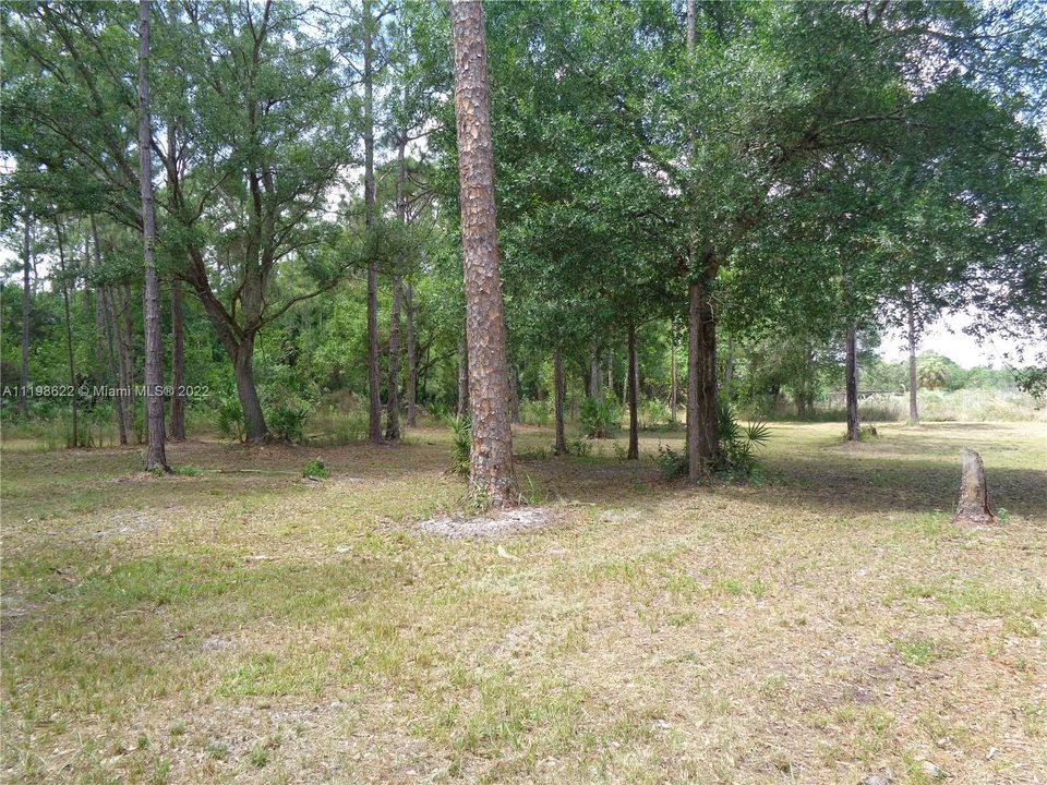 Back Pasture Area