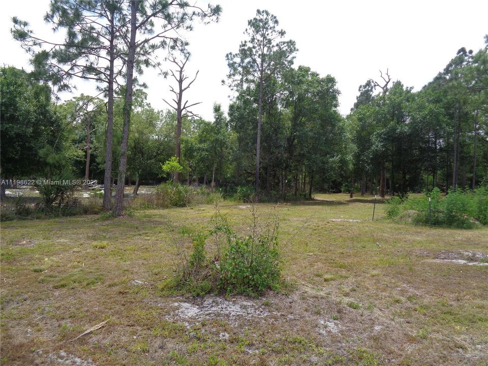 Back Pasture Area