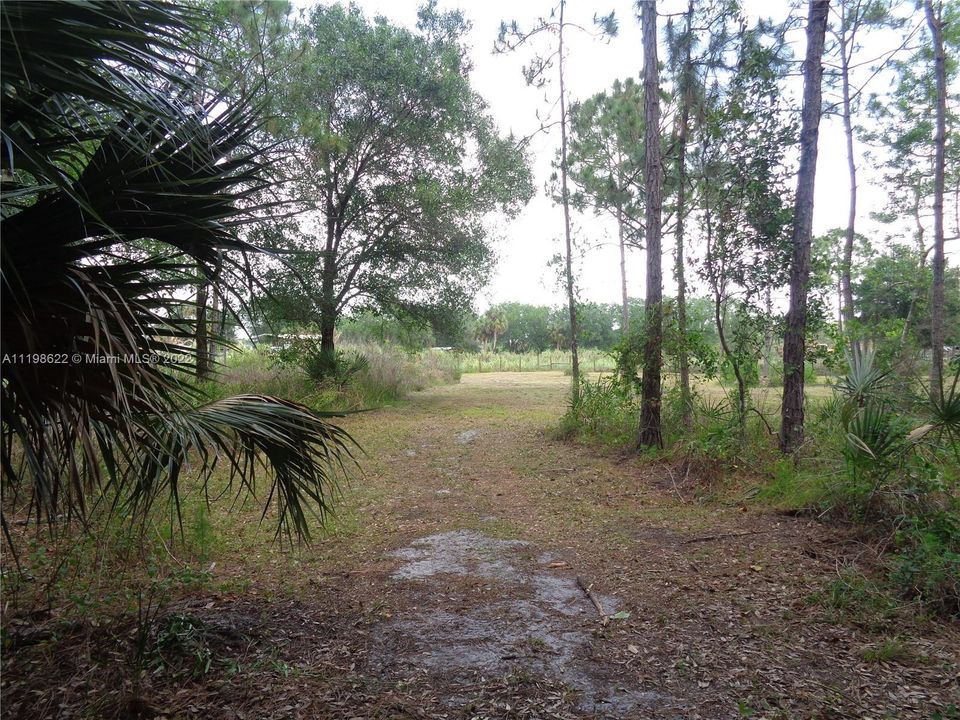 Wooded Path