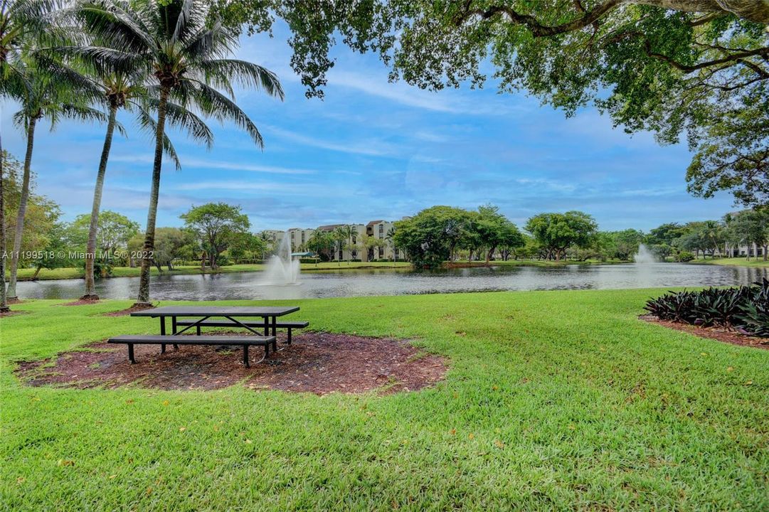Lake view and BBQ area