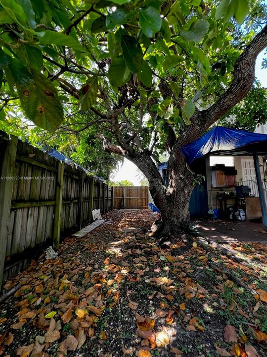 Side entrance to backyard