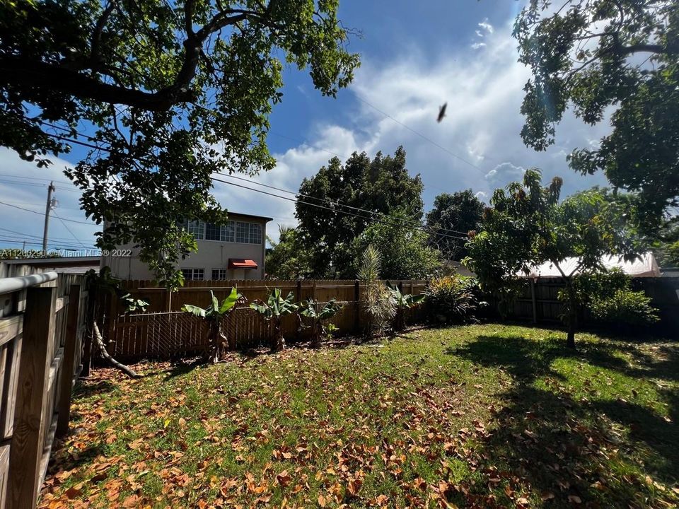 Backyard with plenty of space