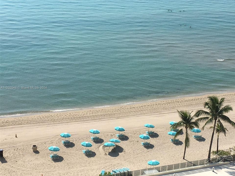 For Rent: $2,950 (1 beds, 1 baths, 835 Square Feet)