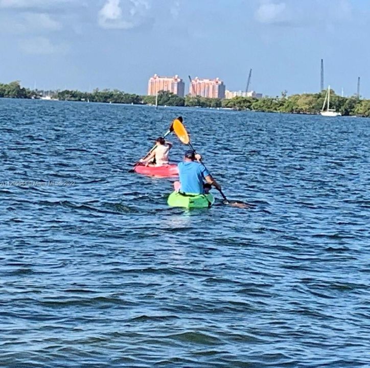 Kayak, paddleboard are some of the activities you can enjoy in Grove Isle