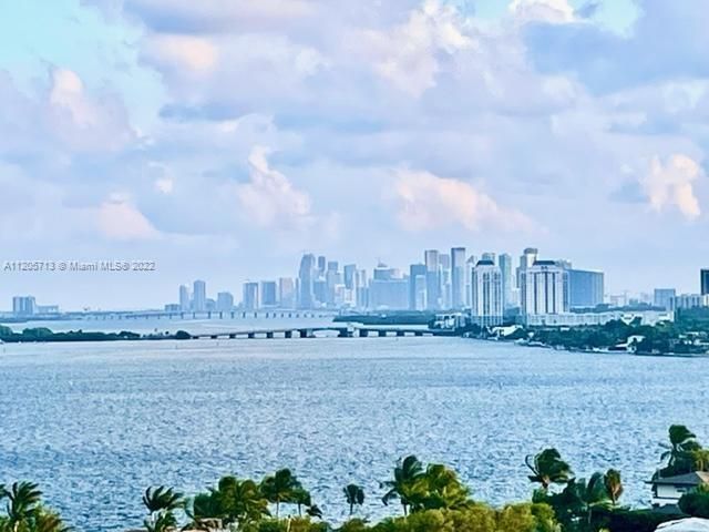 breathtaking views of downtown Miami