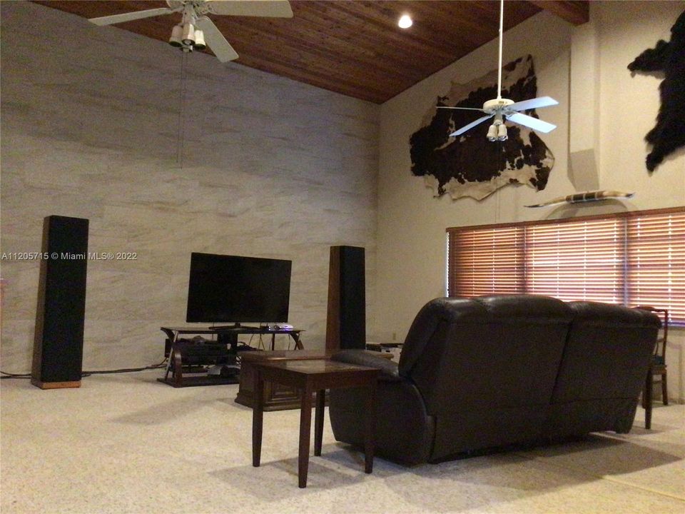 Big and Tall Sound / Entertainment Room