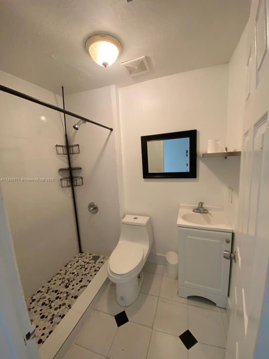 IN-LAW QUARTERS BATHROOM