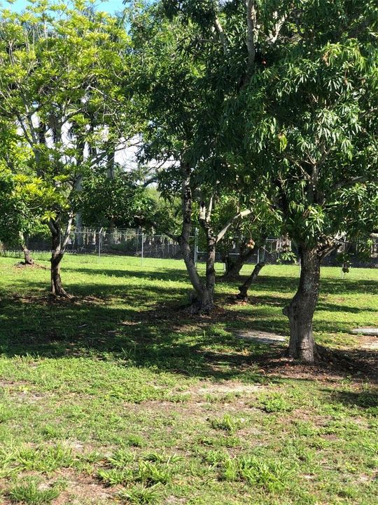 Recientemente alquilado: $3,250 (2 camas, 1 baños, 990 Pies cuadrados)