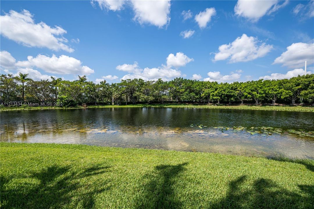 view lake