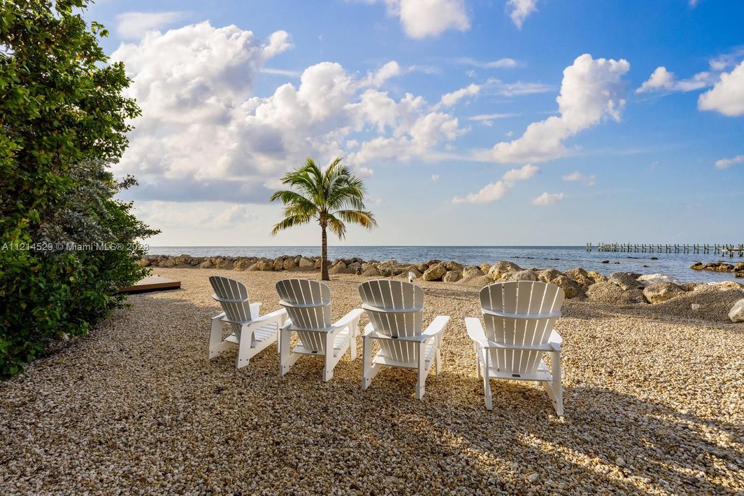 Ocean Front View