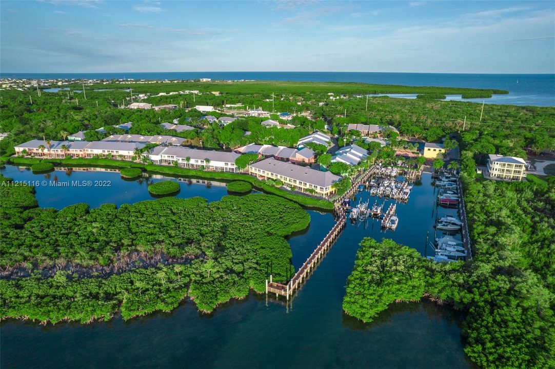 最近售出: $499,900 (2 贝兹, 2 浴室, 778 平方英尺)