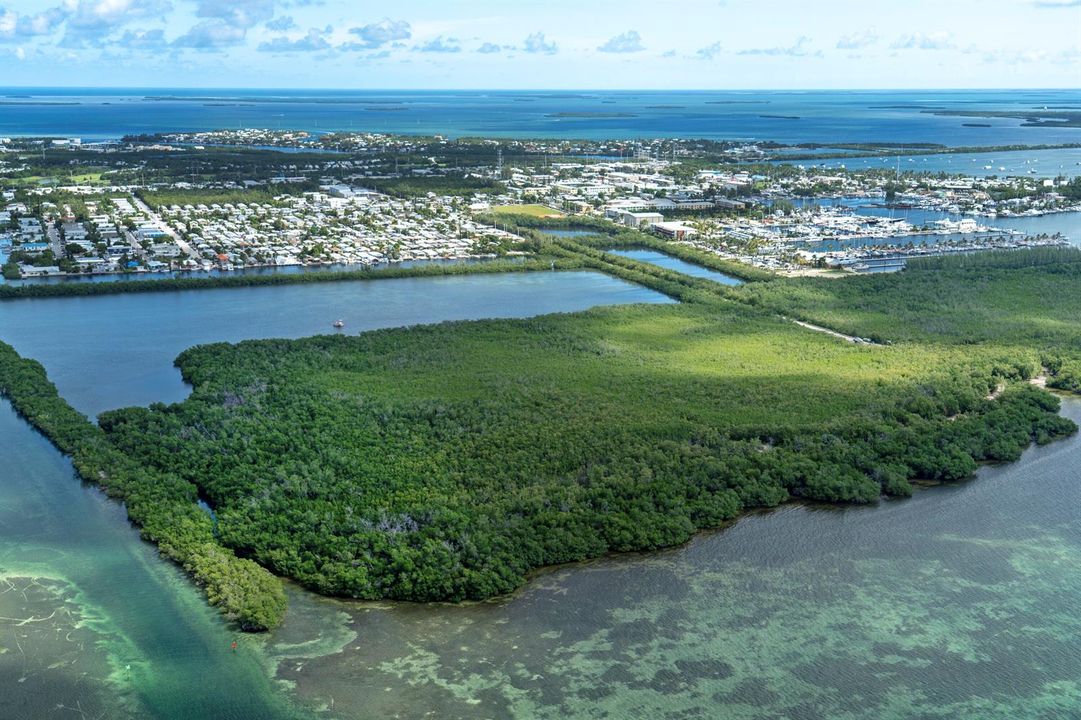 Cow Key Aerial_DSC01376