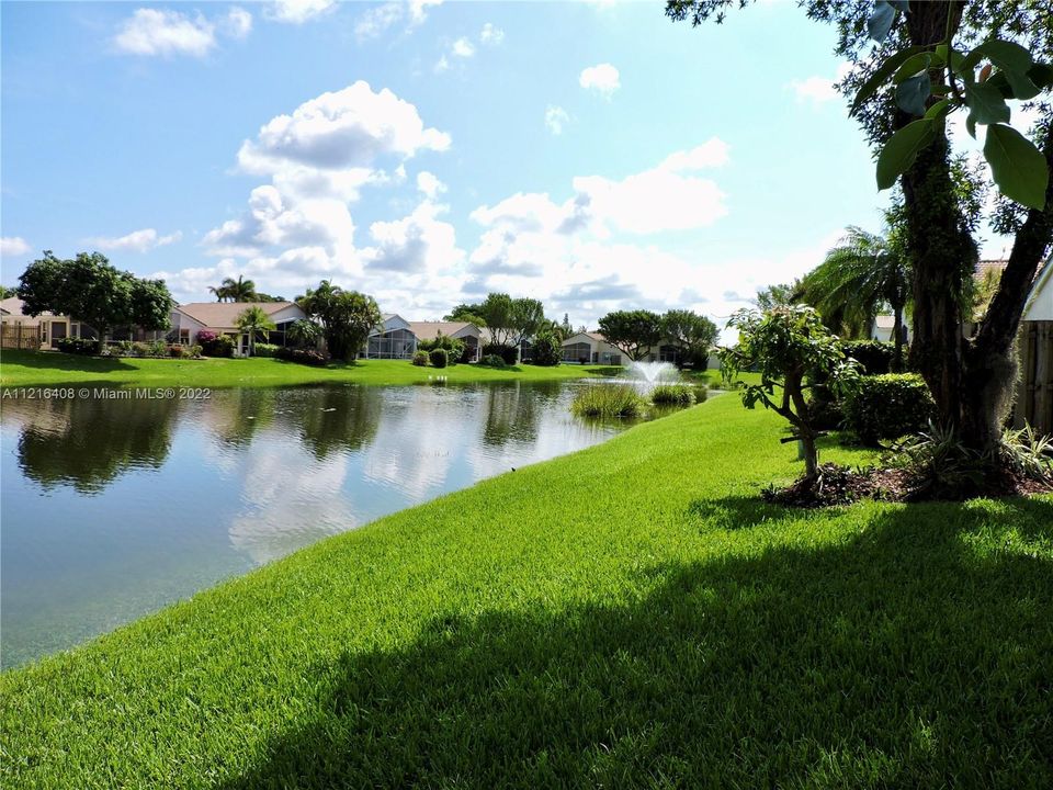 Lake Views