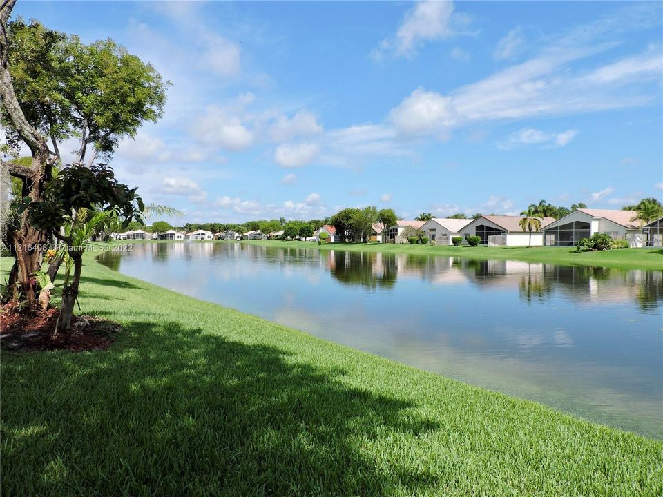 Lake Views