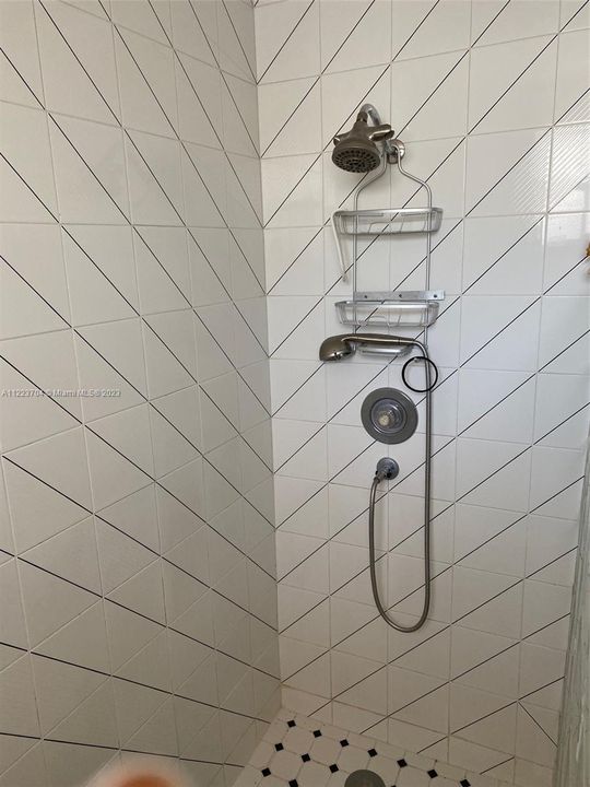 master bth shower