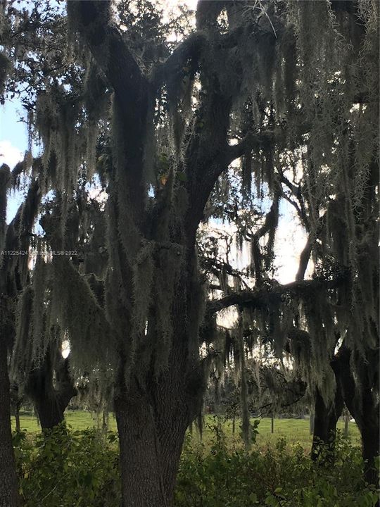 Недавно продано: $158,000 (20.00 acres)