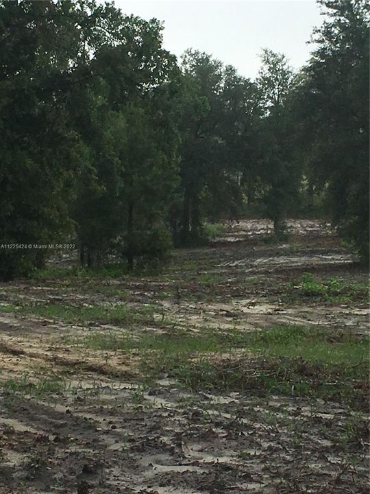 Недавно продано: $158,000 (20.00 acres)