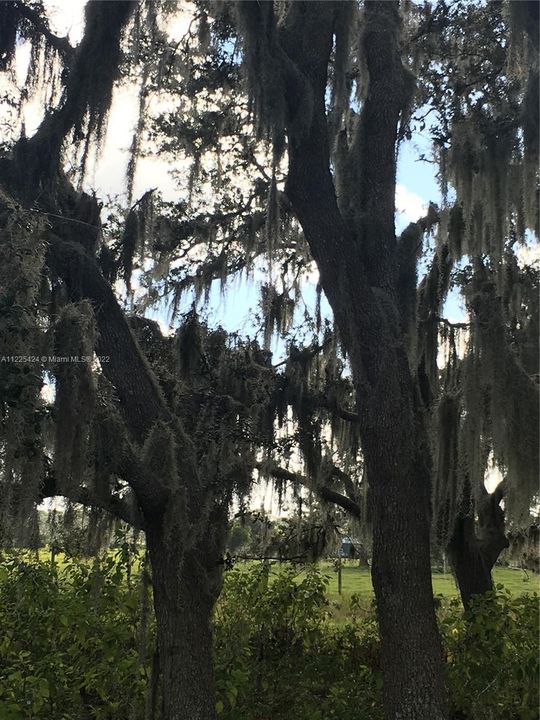 Недавно продано: $158,000 (20.00 acres)