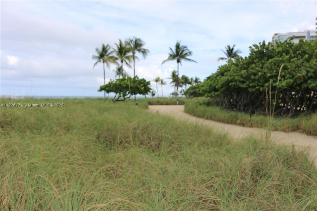 Bal Harbour Beach, where the Ocean and the Green areas are welcome to enjoy a beautiful walk