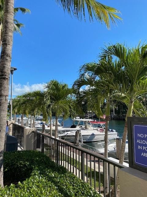 Недавно арендовано: $3,100 (1 спален, 1 ванн, 910 Квадратных фут)