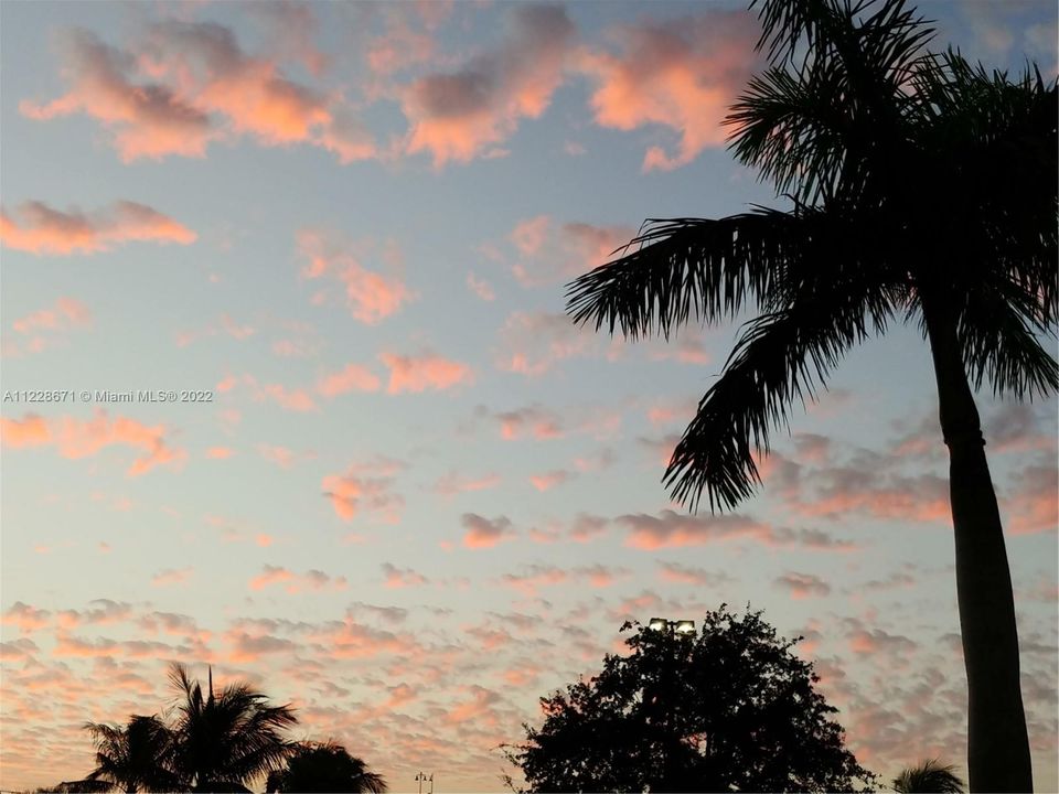 Beautiful tropical sunsets to enjoy