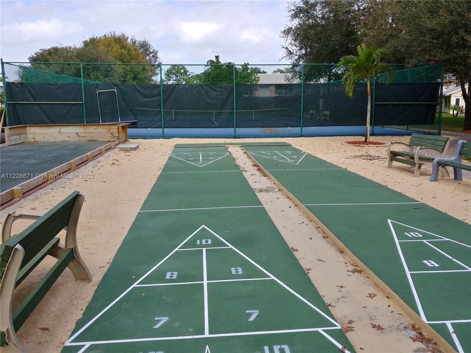 Shuffleboard, tennis pickleball, Boccia Ball