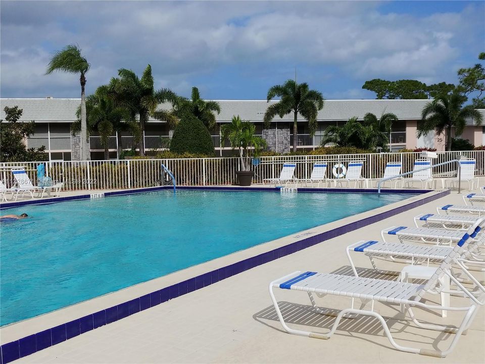 Large salt water heated pool . Lots of covered area and lounge chairs to relax by.