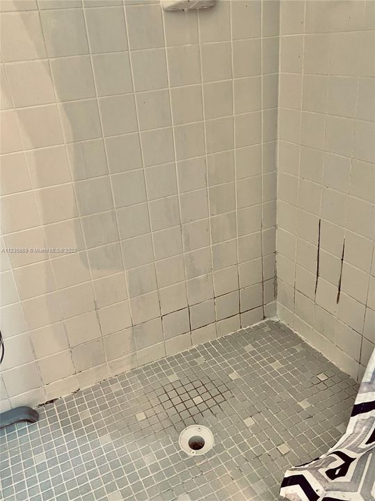 Master bathroom shower