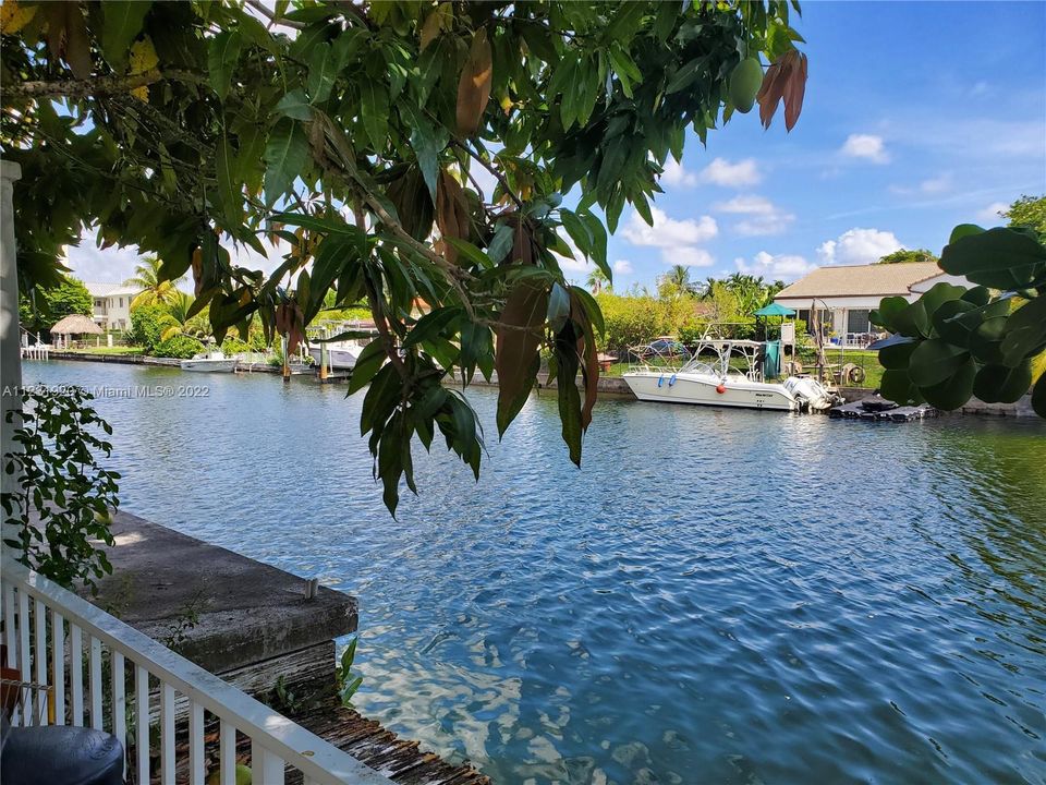 Boat Dock